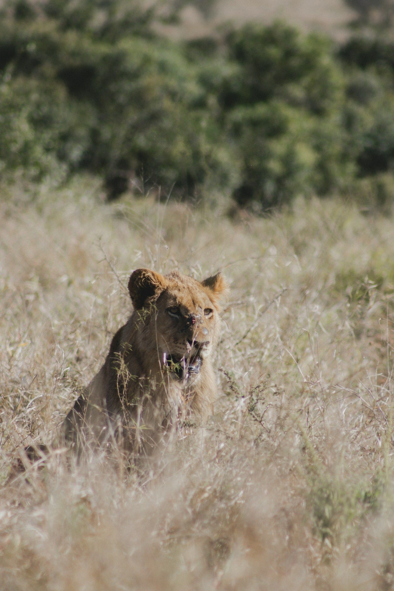 Africa — destino turístico
